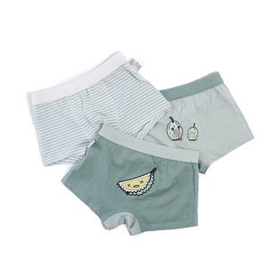 Baby Boy Underwear