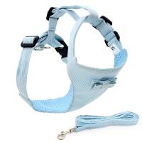 Collars Harness & Leads