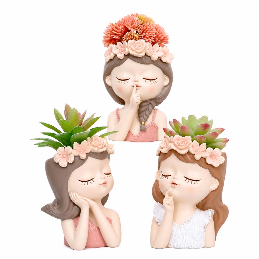 Pots de plantes succulents