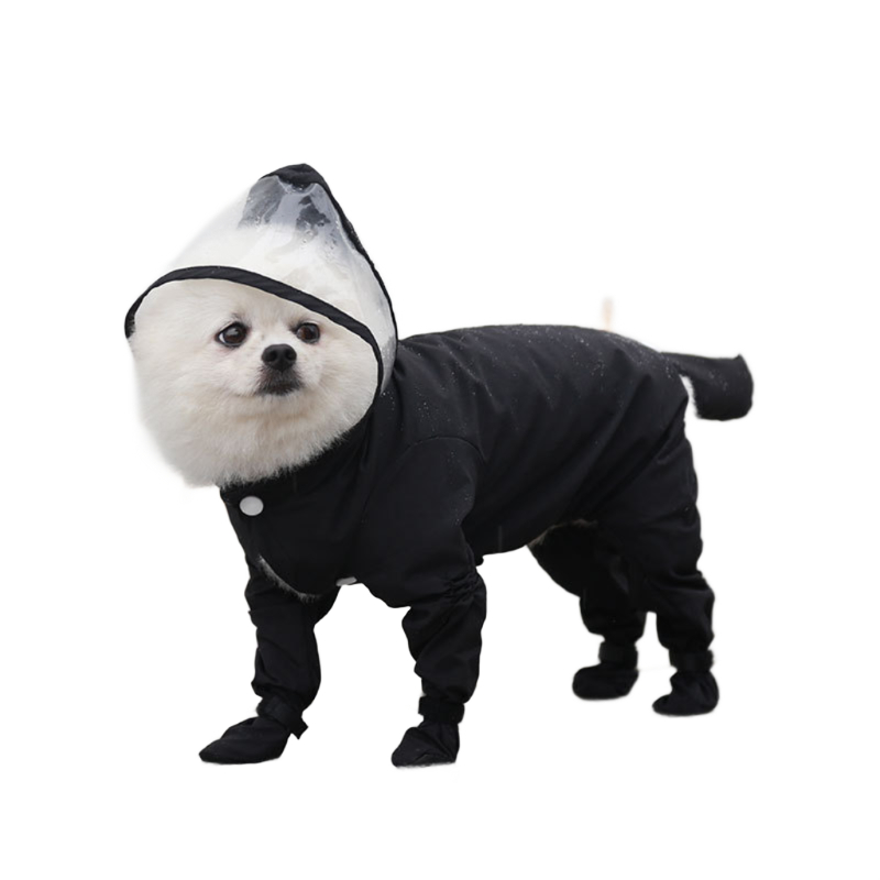 Pet's Clothing and Shoe