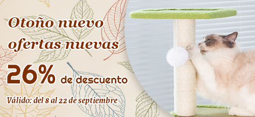 Otoño nuevo, ofertas nuevas‌