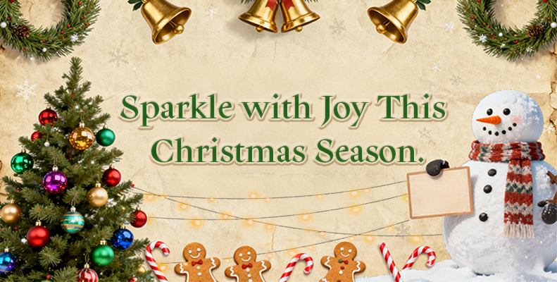 Sparkle with Joy This Christmas Season.
