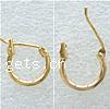 Brass Hoop Earring, Donut, plated 12mm 