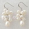 Freshwater Pearl Cluster Earring, sterling silver earring hook, white  .5 Inch 