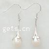 Freshwater Pearl Drop Earring, sterling silver earring hook, Teardrop, plated 43mm .7 Inch 