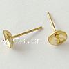 Brass Earring Stud Component, stainless steel post pin, plated 