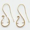 Brass Hook Earwire, plated 