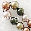 South Sea Shell Beads, Round, mixed colors, nickel, lead & cadmium free, Grade A, 10-16mm Approx 1mm Inch 