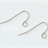 Stainless Steel Hook Earwire, 304 Stainless Steel, with loop, original color Approx 2mm 