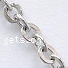 Stainless Steel Oval Chain, original color Approx 