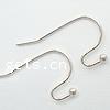 Brass Hook Earwire, plated 