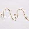 Brass Hook Earwire, plated 