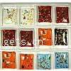 Moulding Lampwork Pendants, Rectangle, gold sand, mixed colors Box 