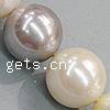 South Sea Shell Beads, Round nickel, lead & cadmium free, Grade A Approx 1mm Inch 