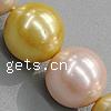 South Sea Shell Beads, Round nickel, lead & cadmium free, Grade A Approx 1mm Inch 