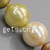 South Sea Shell Beads, Round mixed colors, lead free, Grade A Approx 1mm Inch 