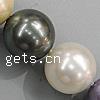 South Sea Shell Beads, Round mixed colors, lead free, Grade A Approx 1mm Inch 