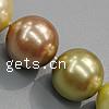 South Sea Shell Beads, Round mixed colors, lead free, Grade A Approx 1mm Inch 