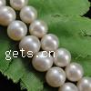 Round Cultured Freshwater Pearl Beads, natural Grade AAA, 7-8mm Approx 0.8mm 