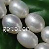 Rice Cultured Freshwater Pearl Beads, natural Grade A, 7-8mm Approx 0.8mm 