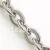 Stainless Steel Oval Chain, original color Approx 