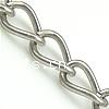 Stainless Steel Oval Chain, twist oval chain, original color Approx 