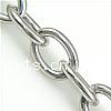 Stainless Steel Oval Chain, original color Approx 