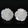 White Shell Earrings, 925 Sterling Silver, with White Shell, Flower, white 