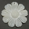 Geschnitzte Muschel Anhänger, Weiße Muschel, Blume, 39.5x39.5x3.7mm, Bohrung:ca. 1.2mm, 20PCs/Menge, verkauft von Menge