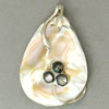 Brass Shell Pendants, with Shell, Teardrop Approx 