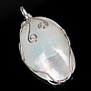 Pendentifs de coquille en laiton, avec coquille d'eau douce, ovale, Placage de couleur platine, blanc, approx Environ 6.5mm, Vendu par PC