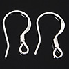 Sterling Silver Hook Earwire, 925 Sterling Silver, plated Approx 1.8mm 