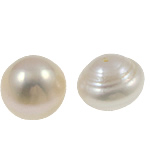 Half Drilled Cultured Freshwater Pearl Beads, Button, natural, half-drilled, white, Grade AA, 13-14mm Approx 0.8mm 