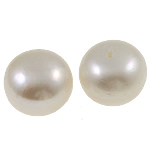 Perles nacres de culture d'eau douce demi percées , perle d'eau douce cultivée, bouton, naturel, semi-foré, blanc, Niveau AA, 13-14mm Environ 0.8mm Vendu par lot