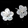 White Shell Earrings, 925 Sterling Silver, with White Shell, Flower, white 