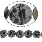 Fancy Printing Shell Beads, Coin & double-sided Approx 1mm Approx 15 Inch 