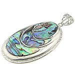 Abalone Shell Pendants, Brass, with Abalone Shell, Flat Oval, platinum color plated Approx 