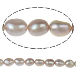 Baroque Cultured Freshwater Pearl Beads, natural, purple, Grade AA, 8-9mm Approx 0.8mm .5 Inch 