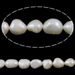 Perles nacres baroques de culture d'eau douce , perle d'eau douce cultivée, naturel, blanc, grade A, 7-8mm Environ 0.8mm pouce, Vendu par brin