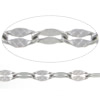 Stainless Steel Oval Chain, original color Approx 