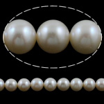 Round Cultured Freshwater Pearl Beads, natural, white, Grade AAA, 9-10mm Approx 0.8mm Inch 