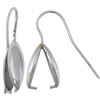 Stainless Steel Hook Earwire, original color 