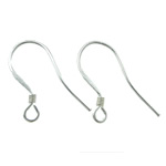 Brass Hook Earwire, plated nickel & cadmium free 