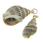 Trompette Shell pendentif en laiton, coquille de trompette, hélice, Placage de couleur d'or, 10-30x10-30mm, Vendu par PC