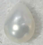 Half Drilled Shell Beads, South Sea Shell, Teardrop, half-drilled Approx 1mm 