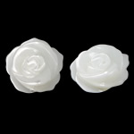 Natural White Shell Beads, Flower, Carved Approx 1mm 