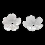 天然白いシェル・ビーズ, 白い貝, 花形, 彫刻 穴:約 0.5mm, 売り手 パソコン