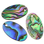 Abalone Shell Pendants, Flat Oval 1-2mm Approx 1.5mm 