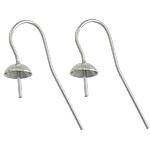 Stainless Steel Hook Earwire, 304 Stainless Steel, original color 0.8mm 