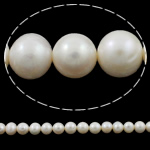 Potato Cultured Freshwater Pearl Beads, natural, white, 10-11mm Approx 0.8mm Approx 14.5 Inch 